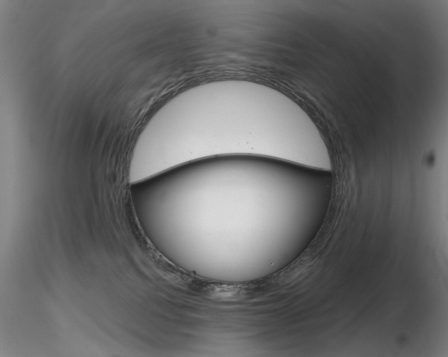 X0000116850088200912220951