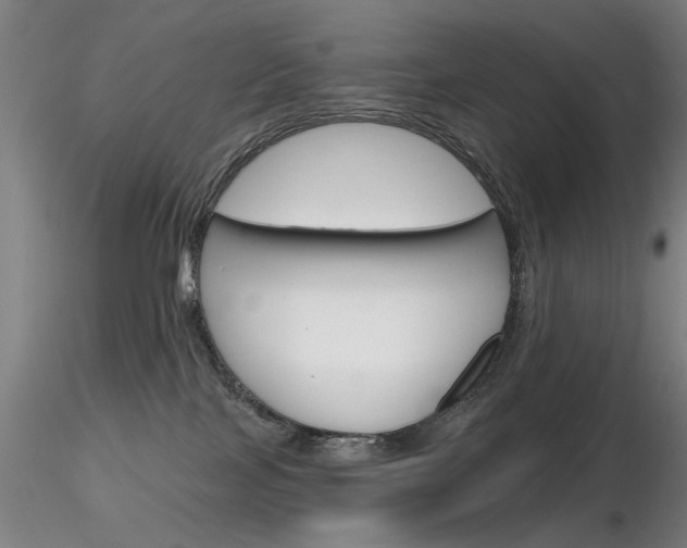 X0000116850089200912220951