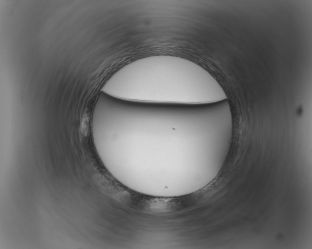 X0000116850090200912220951