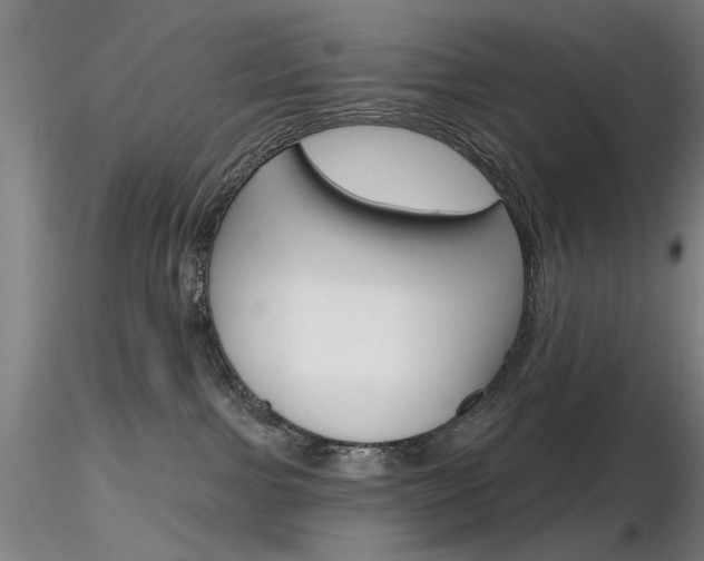 X0000116850091200912220951