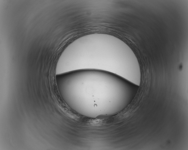 X0000116850092200912220951