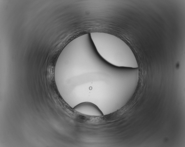 X0000116850093200912220951