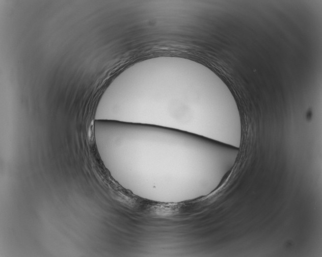 X0000116850094200912220951