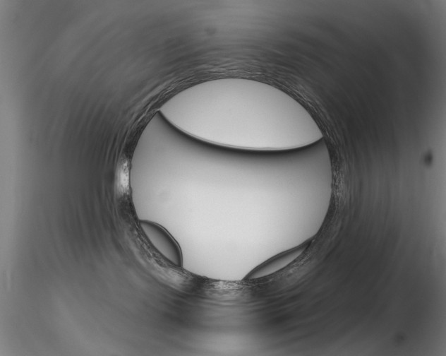 X0000116850095200912220951