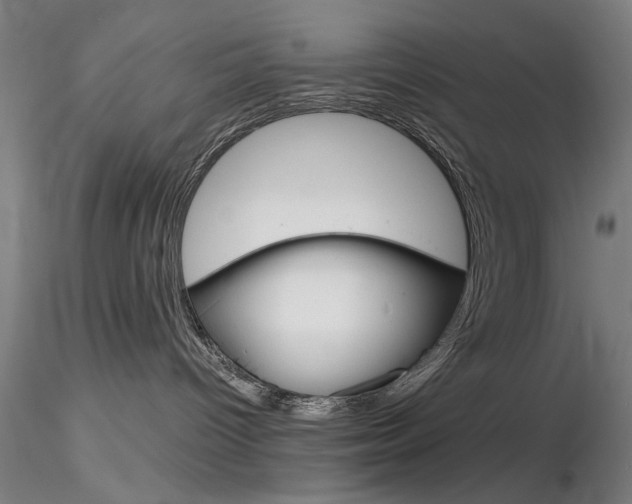 X0000116850096200912220951
