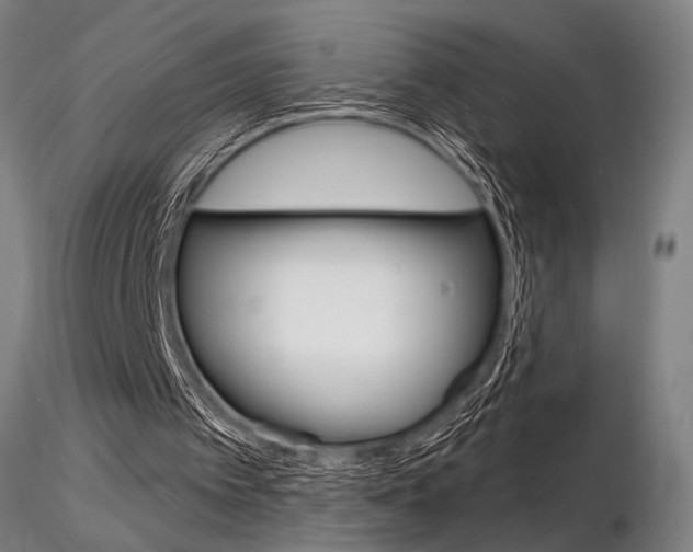 X0000116850097200912220950