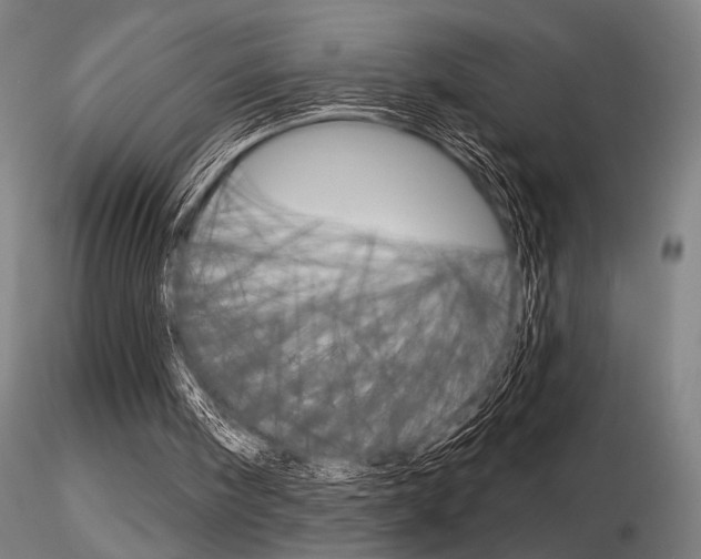 X0000116850098200912220950