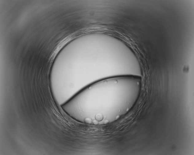 X0000116850099200912220950