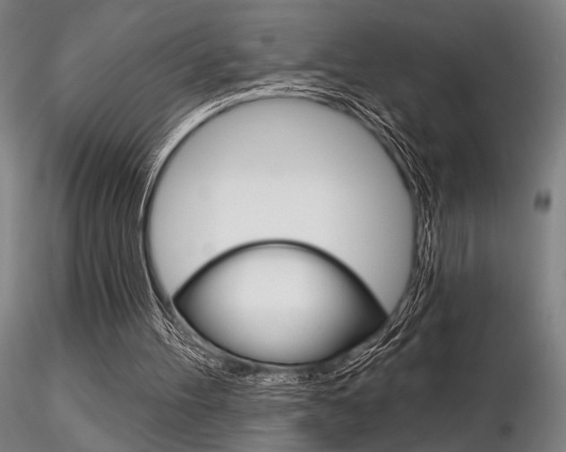 X0000116850100200912220950