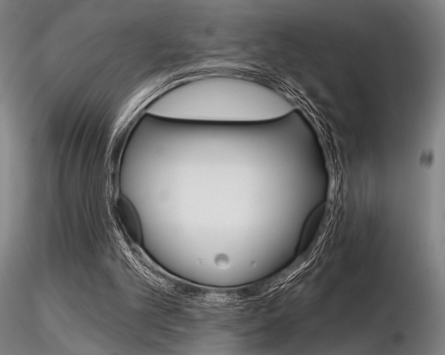 X0000116850101200912220950