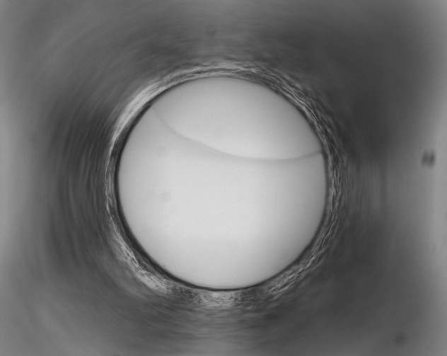 X0000116850102200912220950