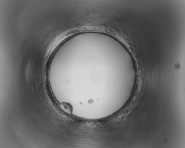 X0000116850103200912220950