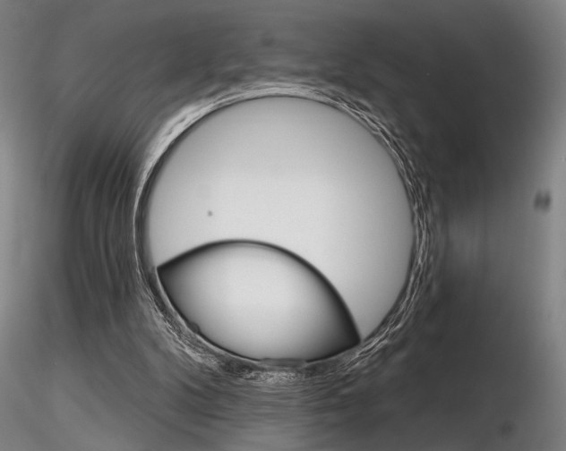 X0000116850104200912220950