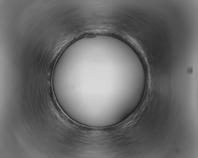 X0000116850105200912220950