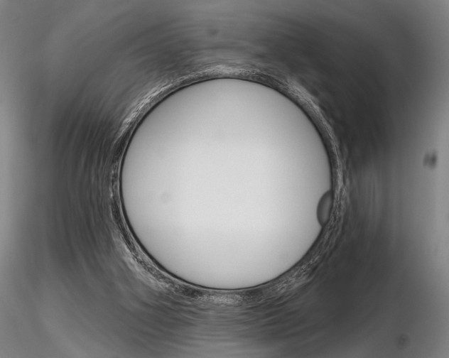 X0000116850106200912220950