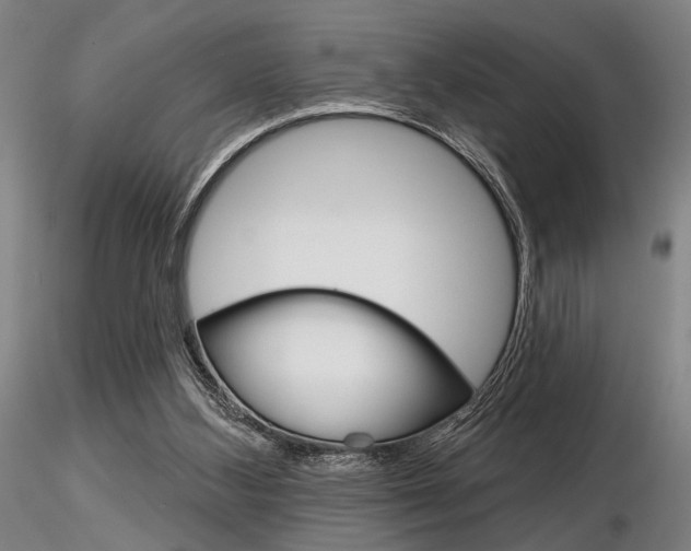 X0000116850108200912220950