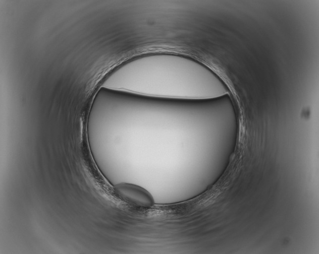 X0000116850109200912220950