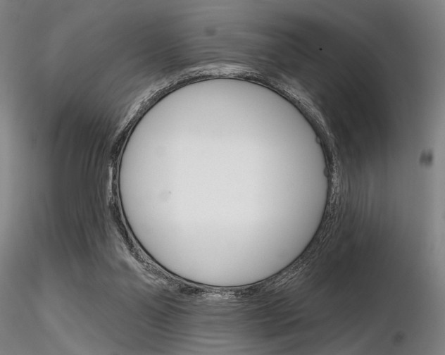 X0000116850110200912220950