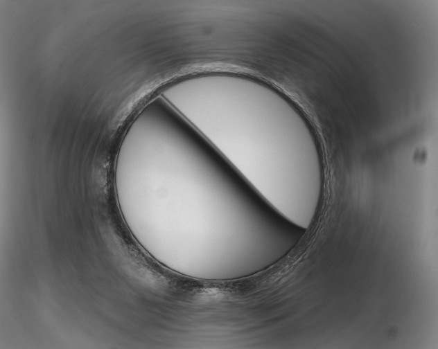 X0000116850111200912220950