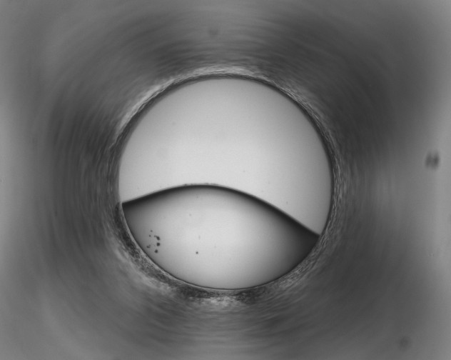 X0000116850112200912220950