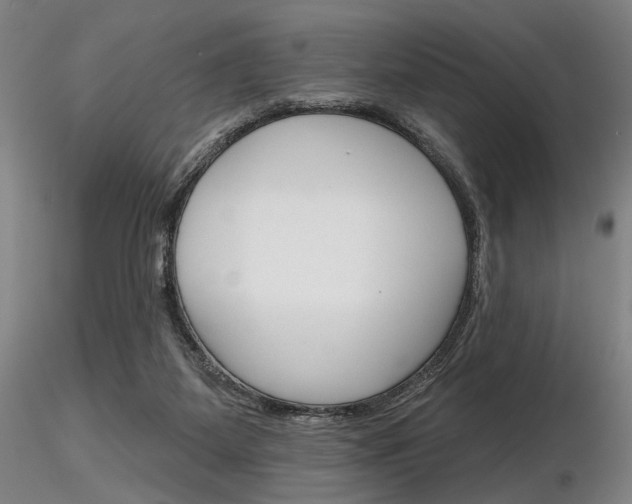 X0000116850115200912220950