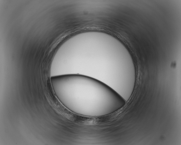 X0000116850116200912220950