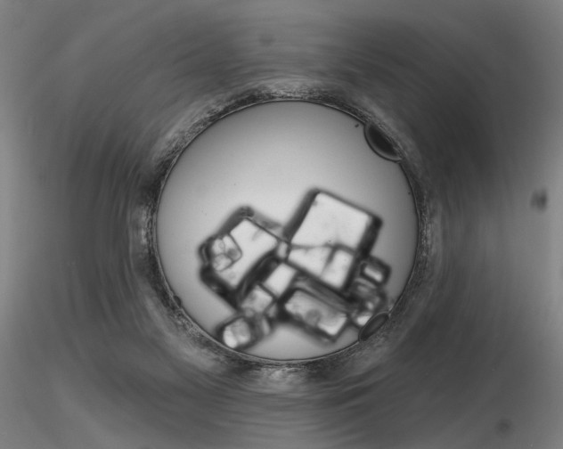 X0000116850117200912220950