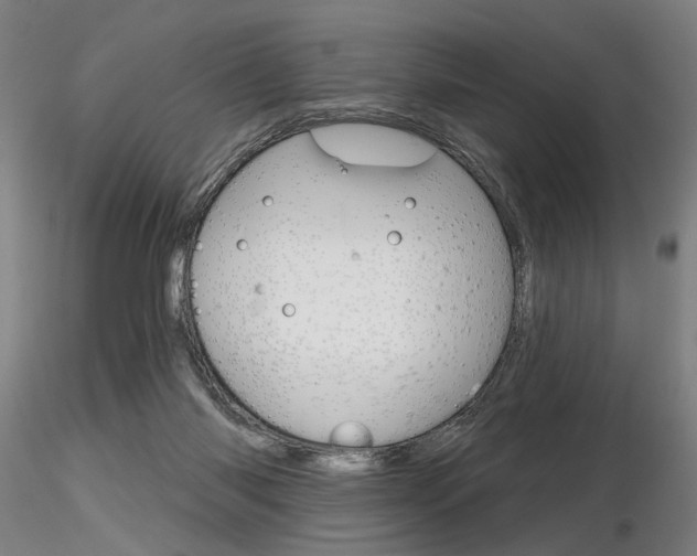 X0000116850118200912220950