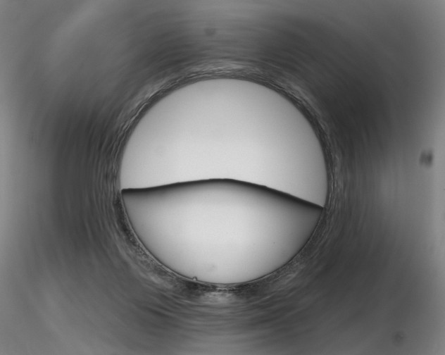 X0000116850119200912220950