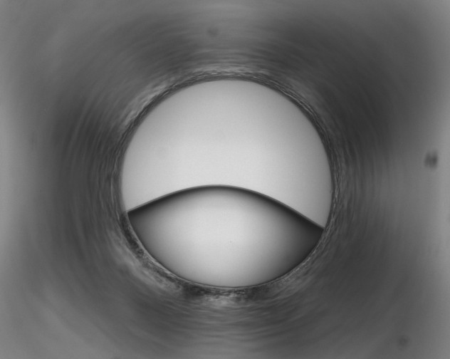 X0000116850120200912220950