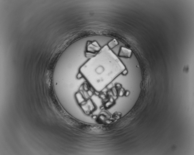 X0000116850121200912220950