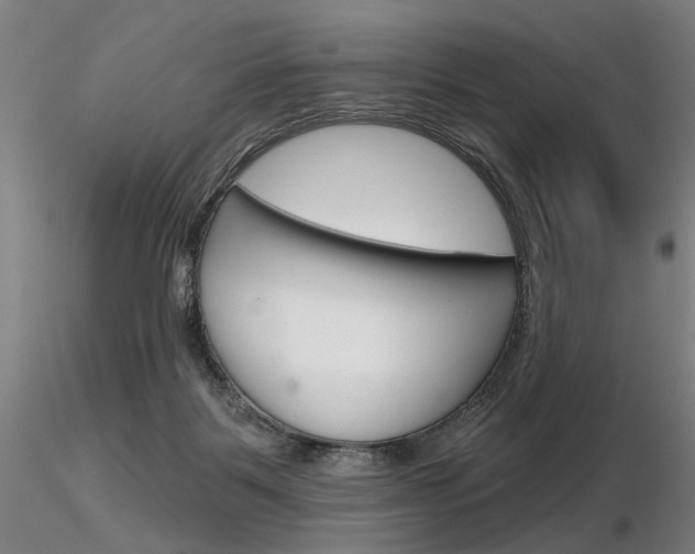 X0000116850123200912220950