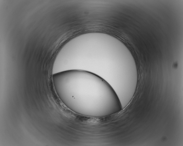 X0000116850124200912220950