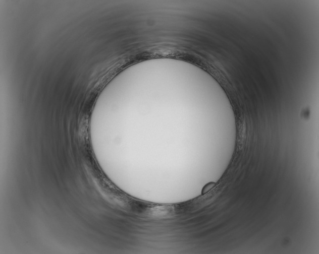 X0000116850126200912220950