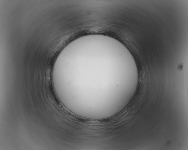 X0000116850127200912220950