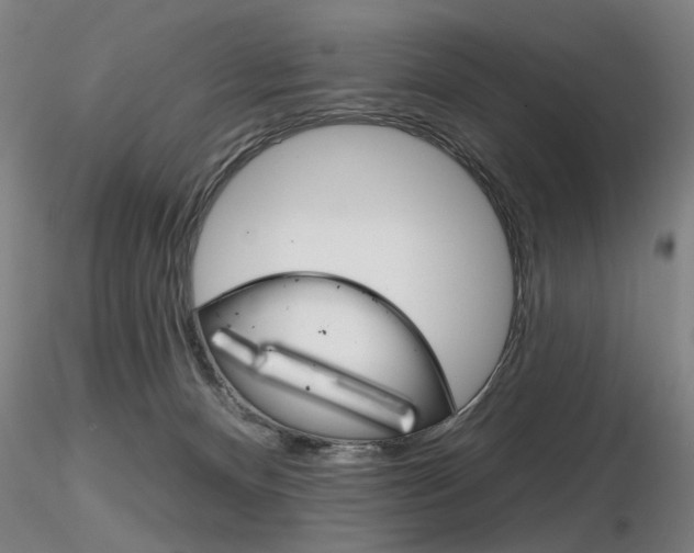 X0000116850128200912220950