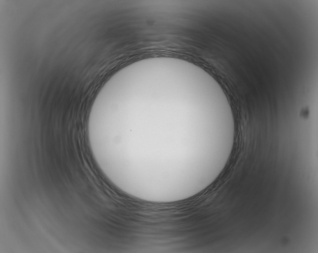 X0000116850129200912220950