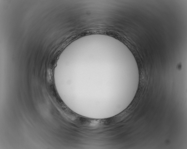 X0000116850130200912220950