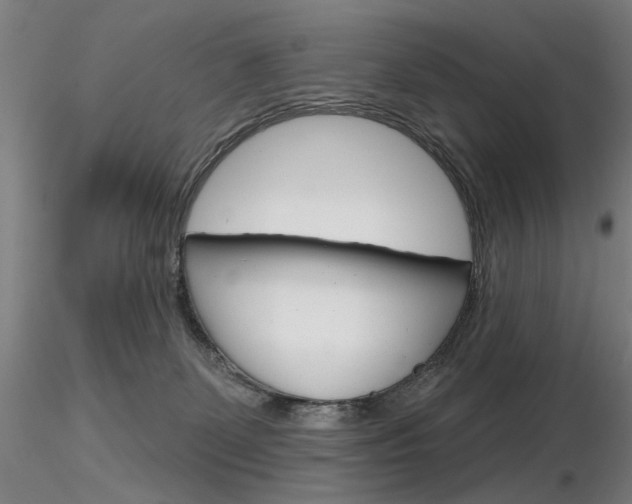 X0000116850131200912220950