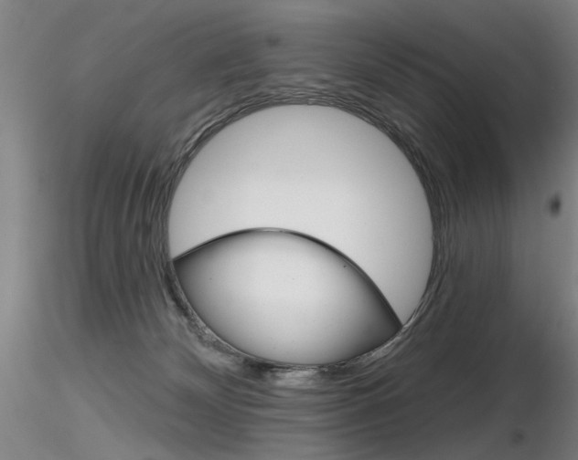 X0000116850132200912220950