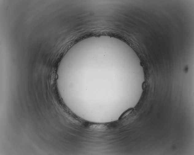 X0000116850133200912220950