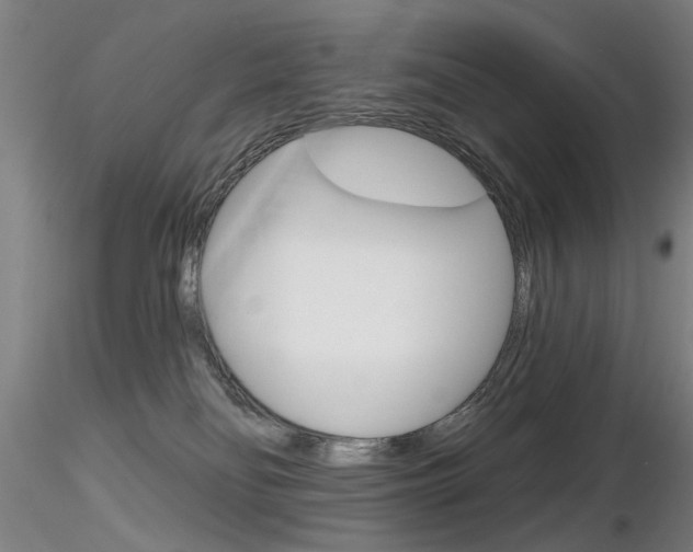 X0000116850134200912220950