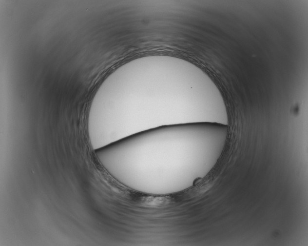 X0000116850135200912220950