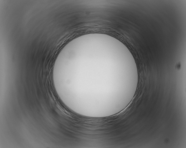 X0000116850136200912220950