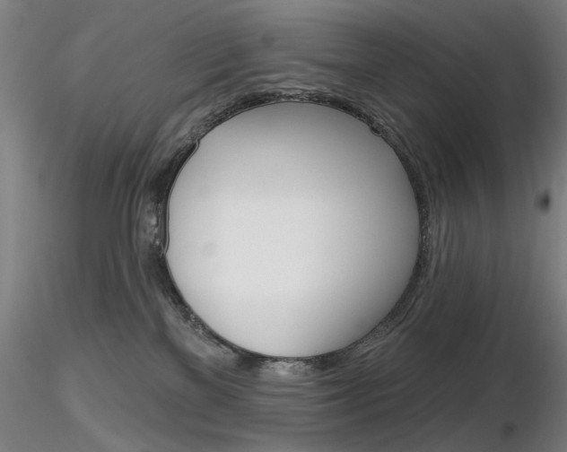 X0000116850137200912220950