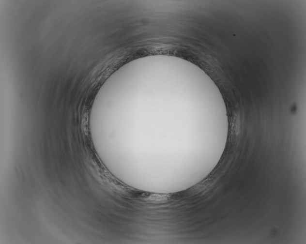 X0000116850138200912220950