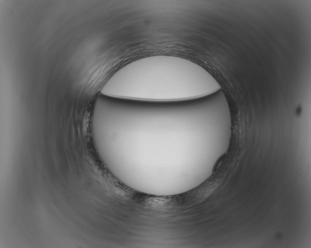 X0000116850139200912220949