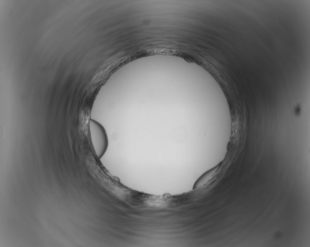 X0000116850142200912220949