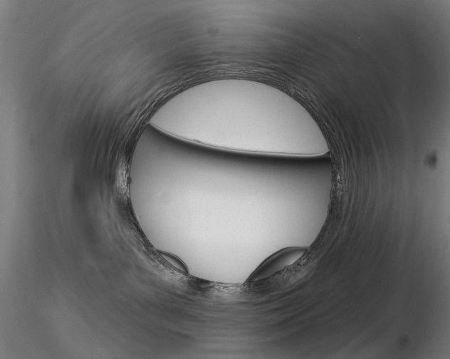 X0000116850143200912220949