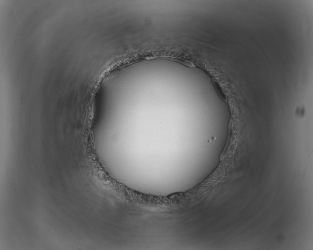 X0000116850144200912220949